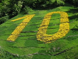 10個技巧，幫你準備托福口說