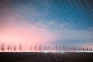 賀!蘇同學考取托福TOEFL84分