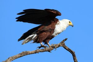 賀!鍾同學考取多益TOEIC855分!