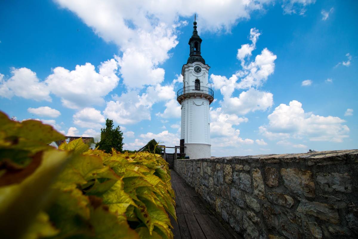 英文寫作安排小旅行