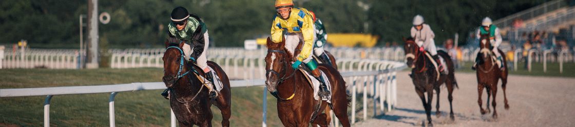 「讚美」別人的英文句子：這絕對是最棒的