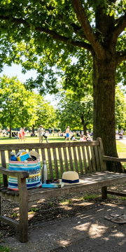 Wooden bench with beach bag, hat, sunglasses, water bottle, and book under a tree in a sunny park